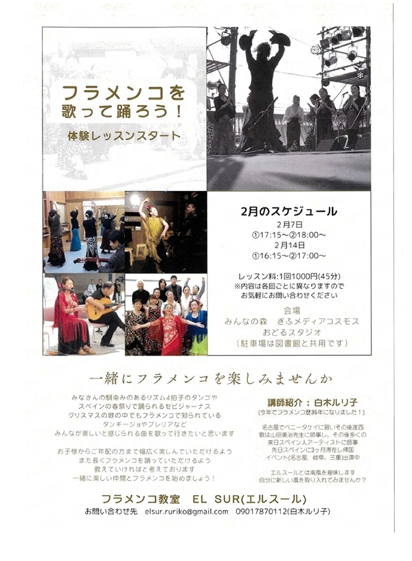 02070214フラメンコを歌って踊ろう!.jpg
