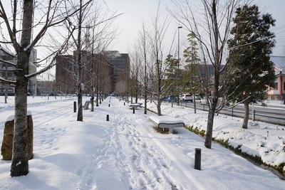 雪のメディアコスモス1.jpg