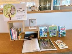 7トラフズク.JPG
