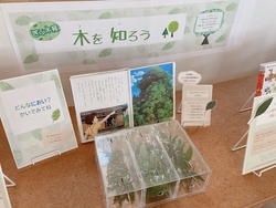 20250217_ぎふ木育展示.JPG