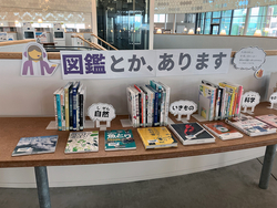 202507_図鑑01.jpg