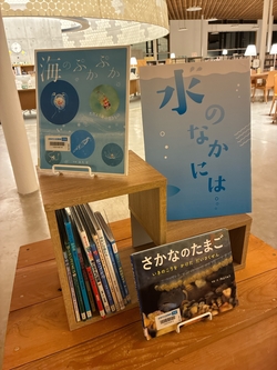 20250911水のなかには川舟.JPG