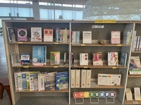 IMG_5455.jpeg